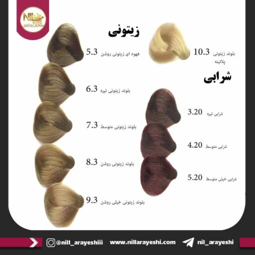 رنگ مو گیاهی پرستیژ 100ml