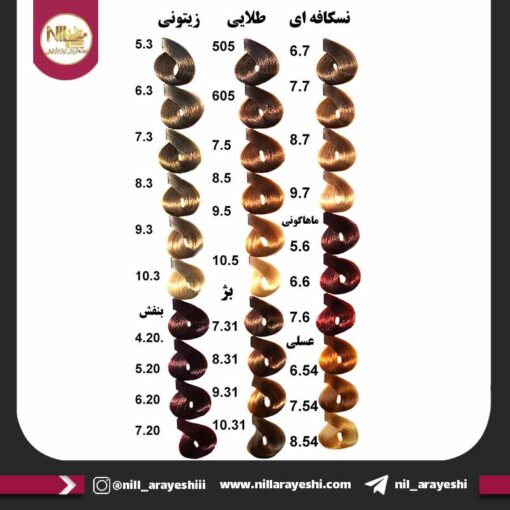 رنگ موی حرفه ای بیجورکا 100ml