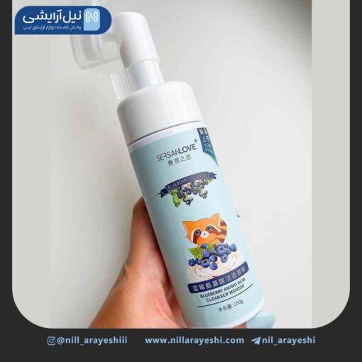 فوم شستشو صورت براش دار بلوبری سرسان لاو کد xg0619