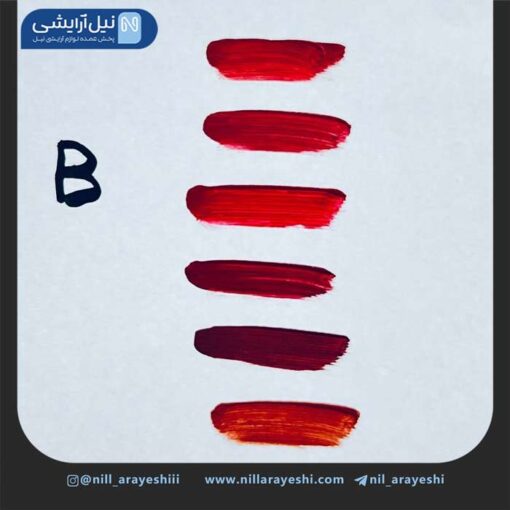 پک رژ مایع بارین شش عددی