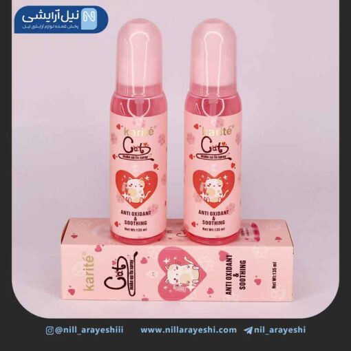 اسپری فیکس طرح گربه کاریته 135 میل کد 47B - 2263