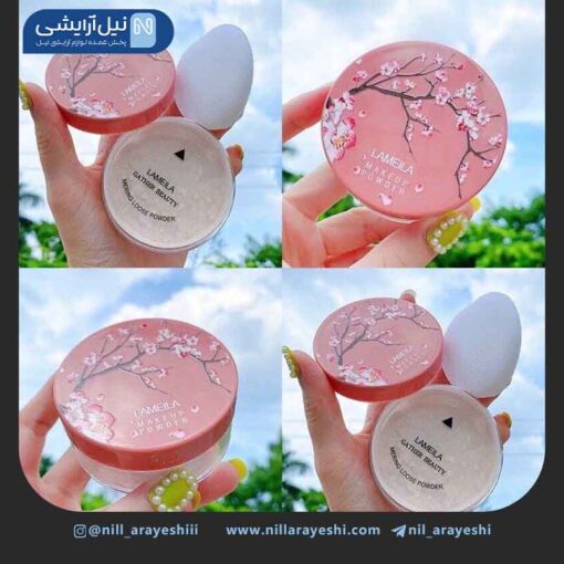 پودر فیکس طرح شکوفه لامیلا کد 5069