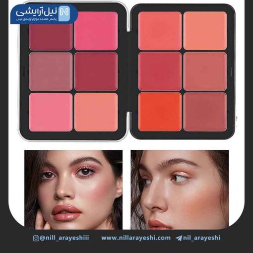 رژگونه پالتی کارلا سکرت دوازده رنگ کد B112