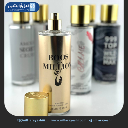 بادی اسپلش مردانه بادی فیلوسوفی 250 میل کد b0015