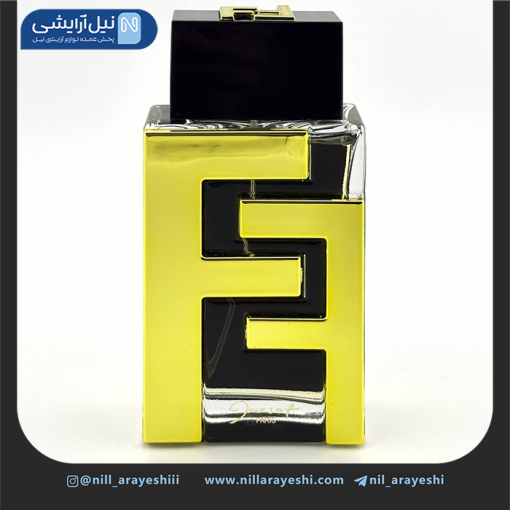 ادوپرفیوم مردانه اف اف ژک ساف 100 میل