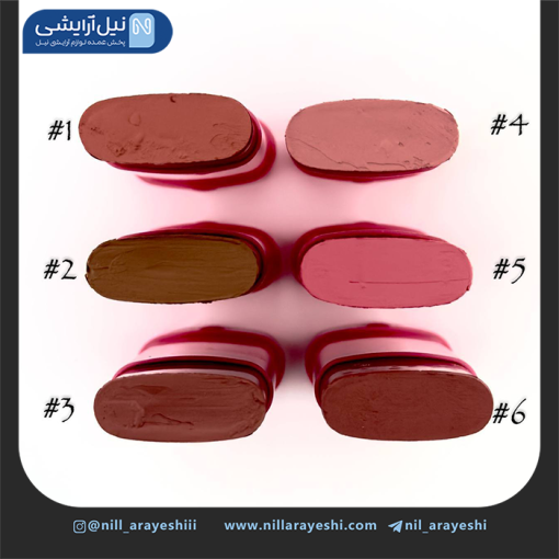 رژگونه استیکی میوه ای ریموکو کد R5012