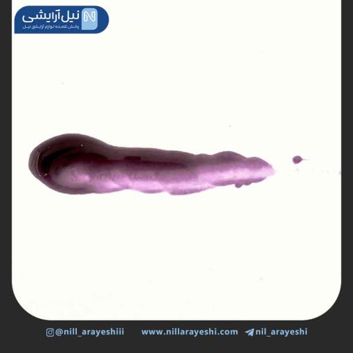 رژگونه و لیپ گلاس جادویی و حرارتی ریموکو کد R1712